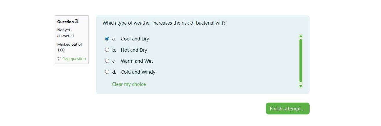 Finish Attempt Step 5