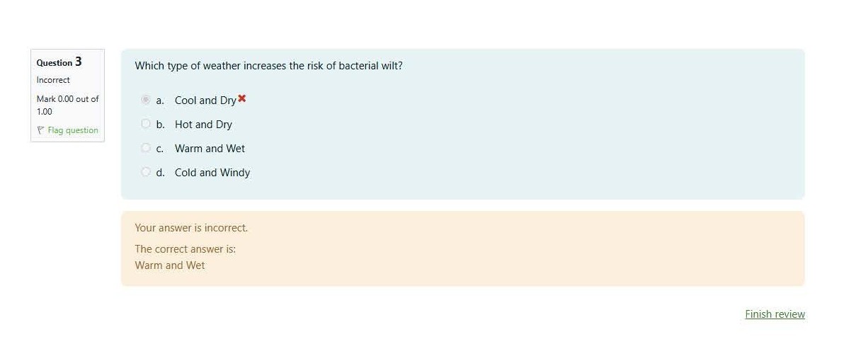 Review Questions Step8